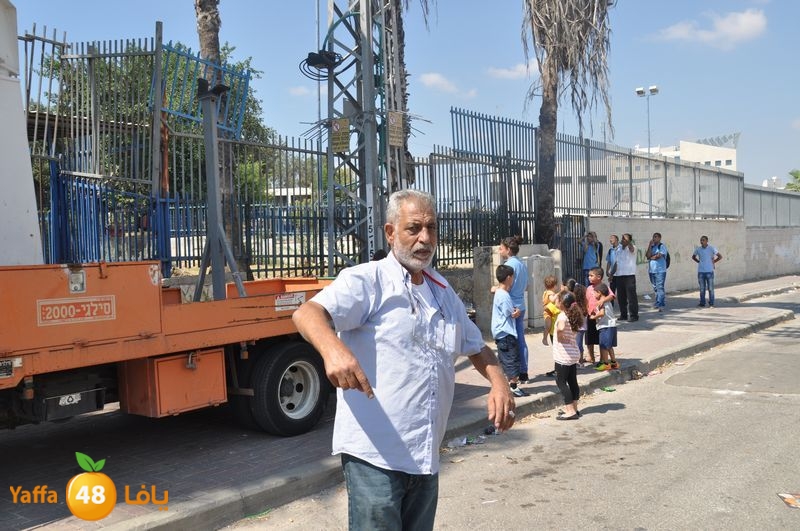 cat lud 910 (45).JPG